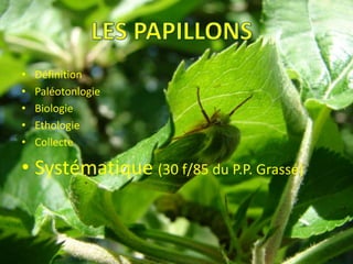 •   Définition
•   Paléotonlogie
•   Biologie
•   Ethologie
•   Collecte

• Systématique (30 f/85 du P.P. Grassé)
 