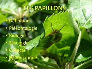 •   Définition
•   Paléontologie
•   Biologie
•   Ethologie
•   Collecte
•   Systématique
 