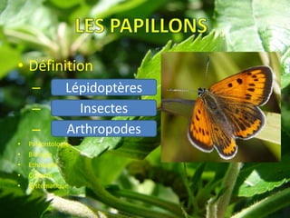 • Définition
     –         Lépidoptères
     –           Insectes
     –         Arthropodes
•   Paléontologie
•   Biologie
•   Ethologie
•   Collecte
•   Systématique
 