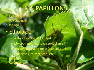 • Définition
• Paléontologie
• Biologie

• Ethologie
   –   « durée de vie » du papillon?
   –   phytophage (mono ou polyphage?)
   –   diurne, nocturne ou crépusculaire?
   –   tropismes, mimétisme, etc.
• Collecte
• Systématique
 