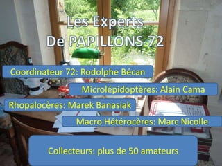 Coordinateur 72: Rodolphe Bécan
                Microlépidoptères: Alain Cama
Rhopalocères: Marek Banasiak
               Macro Hétérocères: Marc Nicolle

        Collecteurs: plus de 50 amateurs
 
