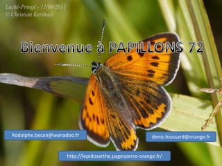 Rodolphe.becan@wanadoo.fr                               denis.foussard@orange.fr


                    http://lepidosarthe.pagesperso-orange.fr/
 