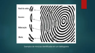 Exemplos de minúcias identificadas em um datilograma
 