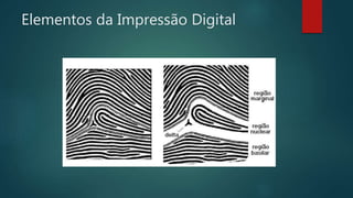 Elementos da Impressão Digital
 