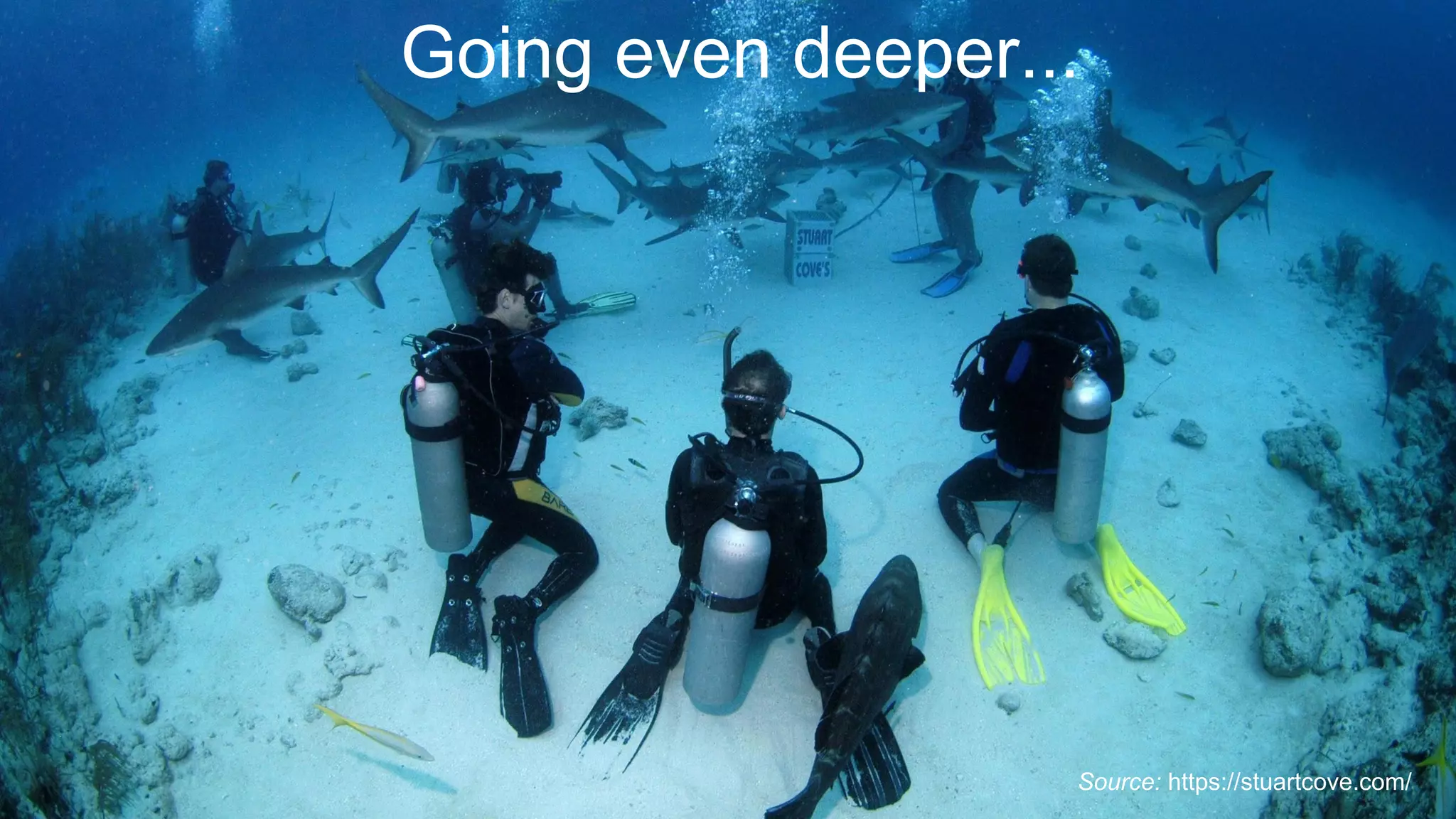 Source: https://stuartcove.com/
Going even deeper...
 