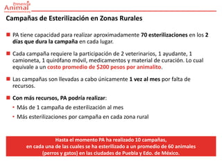 Campañas de Esterilización en Zonas Rurales

 PA tiene capacidad para realizar aproximadamente 70 esterilizaciones en los 2
  días que dura la campaña en cada lugar.
 Cada campaña requiere la participación de 2 veterinarios, 1 ayudante, 1
  camioneta, 1 quirófano móvil, medicamentos y material de curación. Lo cual
  equivale a un costo promedio de $200 pesos por animalito.
 Las campañas son llevadas a cabo únicamente 1 vez al mes por falta de
  recursos.
 Con más recursos, PA podría realizar:
  • Más de 1 campaña de esterilización al mes
  • Más esterilizaciones por campaña en cada zona rural


                   Hasta el momento PA ha realizado 10 campañas,
       en cada una de las cuales se ha esterilizado a un promedio de 60 animales
             (perros y gatos) en las ciudades de Puebla y Edo. de México.
 