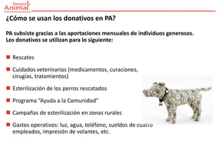 ¿Cómo se usan los donativos en PA?
PA subsiste gracias a las aportaciones mensuales de individuos generosos.
Los donativos se utilizan para lo siguiente:

 Rescates
 Cuidados veterinarios (medicamentos, curaciones,
  cirugías, tratamientos)
 Esterilización de los perros rescatados
 Programa “Ayuda a la Comunidad”
 Campañas de esterilización en zonas rurales
 Gastos operativos: luz, agua, teléfono, sueldos de cuatro
  empleados, impresión de volantes, etc.
 