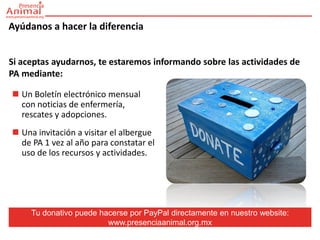 Ayúdanos a hacer la diferencia


Si aceptas ayudarnos, te estaremos informando sobre las actividades de
PA mediante:

 Un Boletín electrónico mensual
  con noticias de enfermería,
  rescates y adopciones.
 Una invitación a visitar el albergue
  de PA 1 vez al año para constatar el
  uso de los recursos y actividades.




     Tu donativo puede hacerse por PayPal directamente en nuestro website:
                         www.presenciaanimal.org.mx
 