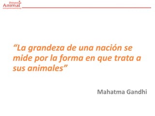 “La grandeza de una nación se
mide por la forma en que trata a
sus animales”

                     Mahatma Gandhi
 