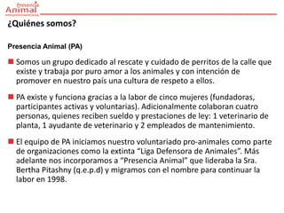 ¿Quiénes somos?

Presencia Animal (PA)

 Somos un grupo dedicado al rescate y cuidado de perritos de la calle que
  existe y trabaja por puro amor a los animales y con intención de
  promover en nuestro país una cultura de respeto a ellos.
 PA existe y funciona gracias a la labor de cinco mujeres (fundadoras,
  participantes activas y voluntarias). Adicionalmente colaboran cuatro
  personas, quienes reciben sueldo y prestaciones de ley: 1 veterinario de
  planta, 1 ayudante de veterinario y 2 empleados de mantenimiento.
 El equipo de PA iniciamos nuestro voluntariado pro-animales como parte
  de organizaciones como la extinta “Liga Defensora de Animales”. Más
  adelante nos incorporamos a “Presencia Animal” que lideraba la Sra.
  Bertha Pitashny (q.e.p.d) y migramos con el nombre para continuar la
  labor en 1998.
 