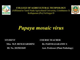 COLLEGE OF AGRICULTURAL TECHNOLOGY
(Affiliated to Tamil Nadu Agricultural University, Coimbatore-3)
Kullapuram (Po),ViaVaigai D
Papaya mosaic virus
STUDENT
Miss M.P. HEMAVARSHINI
ID. No. 2015021049
COURSE TEACHER
Dr. PARTHASARATHY S
Asst. Professor (Plant Pathology)
 