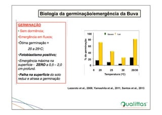 Biologia da germinação/emergência da Buva
Lazaroto et al., 2008; Yamashita et al., 2011, Santos et al., 2013
Temperatura (oC)
%degerminação
0 20 25 30 20/30
0
20
40
60
80
100 Escuro Luz
 