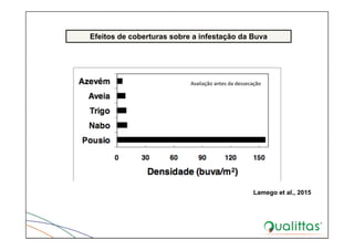 Efeitos de coberturas sobre a infestação da Buva
Avaliação antes da dessecação
Lamego et al., 2015
 