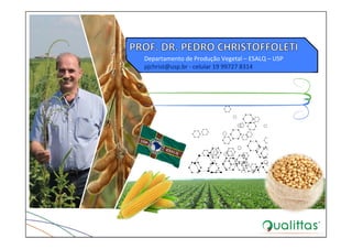 Departamento de Produção Vegetal – ESALQ – USP
pjchrist@usp.br ‐ celular 19 99727 8314
 