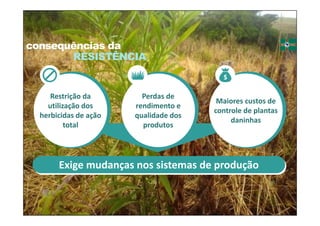 consequências da
RESISTÊNCIA
Perdas de 
rendimento e 
qualidade dos 
produtos
Maiores custos de 
controle de plantas 
daninhas
Restrição da 
utilização dos 
herbicidas de ação 
total
Exige mudanças nos sistemas de produção
 