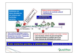 Sistêmicos em 
doses elevadas ou 
em mistura com 
herbicidas 
parceiros
- 10 - 5 a 0 Semeadura + 10 + 20 + 30
 Sem nenhuma estratégia contra a
prevenção de seleção e resistência
Escape de ervas como: Trapoeraba,
erva quente, poaia-branca.
PÓS-EMERGENTES
SEMPRE EM DOSE CHEIA
Plantas daninhas fora de estádio e em maior número:
 Uso de doses cheias de pós-emergentes
 Desuniformidade no estádio das ervas
 Sem chances de otimização de custos
Cultura menos competitiva :
 Ausência de controle cultural
 Reinfestação
Adaptado de Bernardes, 2015
 