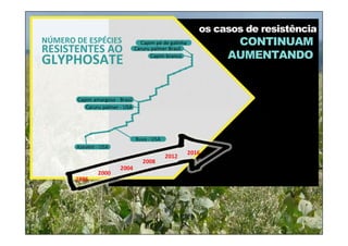 Azevém ‐ USAAzevém ‐ USA
Buva ‐ USABuva ‐ USA
Caruru palmer ‐ USACaruru palmer ‐ USA
Capim amargoso ‐ BrasilCapim amargoso ‐ Brasil
Capim brancoCapim branco
Caruru palmer BrasilCaruru palmer Brasil
NÚMERO DE ESPÉCIES
RESISTENTES AO
GLYPHOSATE
os casos de resistência
CONTINUAM
AUMENTANDO
Capim pé de galinhaCapim pé de galinha
1996
2000
2004
2008
2012
2016
 