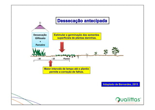 Estimular a germinação das sementes
superficiais de plantas daninhas.
Maior intervalo de tempo até o plantio
permite a correção de falhas.
‐ 20                     ‐ 10                 Plantio
Dessecação 
Glifosato
+ 
Parceiro
45Adaptado de Bernardes, 2015
 