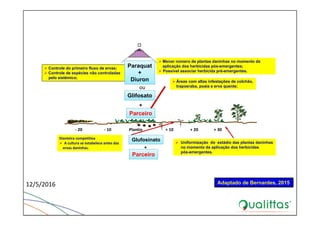  Menor número de plantas daninhas no momento da
aplicação dos herbicidas pós-emergentes;
 Possível associar herbicida pré-emergentes.
 Controle do primeiro fluxo de ervas;
 Controle de espécies não controladas
pelo sistêmico;
 Áreas com altas infestações de colchão,
trapoeraba, poaia e erva quente;
‐ 20                     ‐ 10                 Plantio                      + 10                + 20               + 30
Dianteira competitiva
 A cultura se estabelece antes das 
ervas daninhas.
 Uniformização do estádio das plantas daninhas
no momento da aplicação dos herbicidas
pós-emergentes.
+
ou
Paraquat
+
Diuron
Glifosato
Parceiro
Glufosinato
+
Parceiro
12/5/2016 46Adaptado de Bernardes, 2015
 
