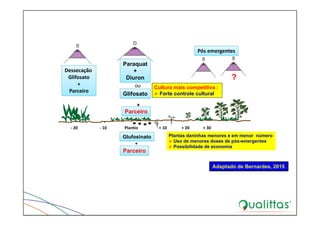 ‐ 20                     ‐ 10                 Plantio                    + 10              + 20             + 30
Cultura mais competitiva :
 Forte controle cultural
Plantas daninhas menores e em menor número
 Uso de menores doses de pós-emergentes
 Possibilidade de economia
Dessecação 
Glifosato
+ 
Parceiro
+
ou
Paraquat
+
Diuron
Glifosato
Parceiro
Pós emergentes
Glufosinato
+
Parceiro
48
?
Adaptado de Bernardes, 2015
 