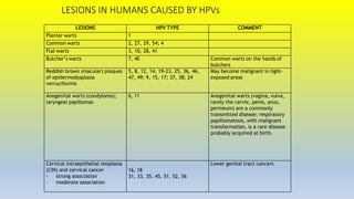 LESIONS IN HUMANS CAUSED BY HPVs
LESIONS HPV TYPE COMMENT
Plantar warts 1
Common warts 2, 27, 29, 54; 4
Flat warts 3, 10, 28, 41
Butcher’s warts 7, 40 Common warts on the hands of
butchers
Reddish brown (macular) plaques
of epidermodysplasia
verruciformis
5, 8, 12, 14, 19-23, 25, 36, 46,
47, 49; 9, 15, 17; 37, 38; 24
May become malignant in light-
exposed areas
Anogenital warts (condyloma);
laryngeal papillomas
6, 11 Anogenital warts (vagina, vulva,
rarely the cervix, penis, anus,
perineum) are a commonly
transmitted disease; respiratory
papillomatosis, with malignant
transformation, is a rare disease
probably acquired at birth.
Cervical intraepithelial neoplasia
(CIN) and cervical cancer
- strong association
- moderate association
16, 18
31, 33, 35, 45, 51, 52, 56
Lower genital tract cancers
 