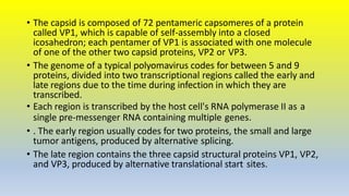 Vp1 Papova viruses | PPTX