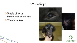 3º Estágio
Sinais clínicos
sistêmicos evidentes
Títulos baixos
 