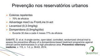 Prevenção nos reservatórios urbanos
 Coleiras repelentes
 70% de eficácia
 Advantage max3 ou FrontLine tri-act
 Levamisol (0,3-3mg/kg)
 Domperidona (0,5mg/kg/dia)
 Durante 30 dias a cada 4 meses 77% de eficácia
SABATÉ, D. et al. A single-centre, open-label, controlled, randomized clinical trial to
assess the preventive efficacy of a domperidone-based treatment programme against
clinical canine leishmaniasis in a high prevalence area. Preventive veterinary
medicine, v. 115, n. 1-2, p. 56-63, 2014.
15
 