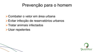 Prevenção para o homem
Combater o vetor em área urbana
Evitar infecção de reservatórios urbanos
Tratar animais infectados
Usar repelentes
 