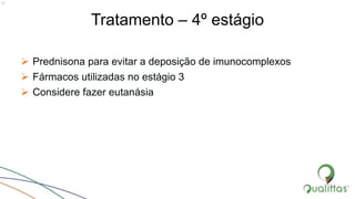 Tratamento – 4º estágio
 Prednisona para evitar a deposição de imunocomplexos
 Fármacos utilizadas no estágio 3
 Considere fazer eutanásia
21
 