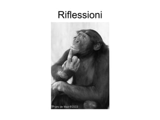 Riflessioni 