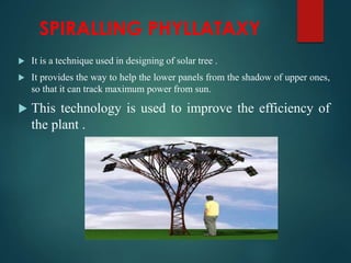  It is a technique used in designing of solar tree .
 It provides the way to help the lower panels from the shadow of upper ones,
so that it can track maximum power from sun.
 This technology is used to improve the efficiency of
the plant .
SPIRALLING PHYLLATAXY
 