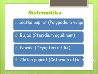 Paprati | ODP