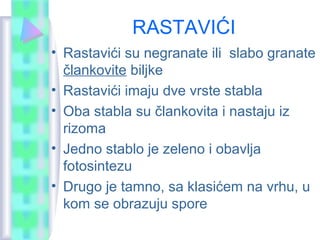 RASTAVIĆI
• Rastavići su negranate ili slabo granate
člankovite biljke
• Rastavići imaju dve vrste stabla
• Oba stabla su člankovita i nastaju iz
rizoma
• Jedno stablo je zeleno i obavlja
fotosintezu
• Drugo je tamno, sa klasićem na vrhu, u
kom se obrazuju spore
 