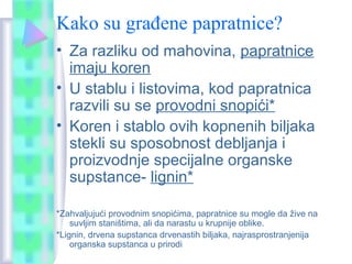 Kako su građene papratnice?
• Za razliku od mahovina, papratnice
imaju koren
• U stablu i listovima, kod papratnica
razvili su se provodni snopići*
• Koren i stablo ovih kopnenih biljaka
stekli su sposobnost debljanja i
proizvodnje specijalne organske
supstance- lignin*
*Zahvaljujući provodnim snopićima, papratnice su mogle da žive na
suvljim staništima, ali da narastu u krupnije oblike.
*Lignin, drvena supstanca drvenastih biljaka, najrasprostranjenija
organska supstanca u prirodi
 
