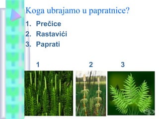 Koga ubrajamo u papratnice?
1. Prečice
2. Rastavići
3. Paprati
1 2 3
 