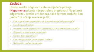 PAPRATNJAČE presentation for biologija 2024 | PPTX