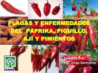 PLAGAS Y ENFERMEDADES
DEL PÁPRIKA, PIQUILLO,
AJÍ Y PIMIENTOS
FARMEX S.A.
Ing. Jorge Sarmiento
FARMEX
 