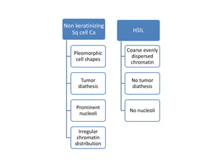 Non keratinizing
Sq cell Ca
Pleomorphic
cell shapes
Tumor
diathesis
Prominent
nucleoli
Irregular
chromatin
distribution
HSIL
Coarse evenly
dispersed
chromatin
No tumor
diathesis
No nucleoli
 