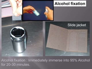 Alcohol fixation : Immediately immerse into 95% Alcohol
for 20-30 minutes.
Drying the slide – 5 minutes
Alcohol fixation
Slide jacket
 