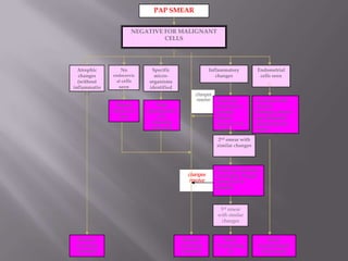 changes
resolve
changes
resolve
PAP SMEAR
NEGATIVE FOR MALIGNANT
CELLS
Atrophic
changes
(without
inflammatio
n)
No
endocervic
al cells
seen
Specific
micro-
organisms
identified
Inflammatory
changes
Endometrial
cells seen
Correlate with
clinical
findings, client’s
age, hormonal
and menstrual
status
Refer
Gynaecologist
if necessary
Treat
appropriatel
y as
clinically
indicated
Treat any
infection or
atrophy.
Repeat
smear in 3–6
months.
2nd smear with
similar changes
3rd smear
with similar
changes
Treat any infection
or atrophy. Repeat
smear in 3–6
months.
Refer
Gynaecolog
ist
Repeat
smear in 1
year
Routine
screening
schedule
Routine
screening
schedule
 