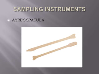  AYRE’S SPATULA
 