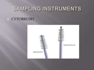  CYTOBRUSH
 