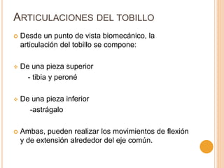ARTICULACIONES DEL TOBILLO
 Desde un punto de vista biomecánico, la
articulación del tobillo se compone:
 De una pieza superior
- tibia y peroné
 De una pieza inferior
-astrágalo
 Ambas, pueden realizar los movimientos de flexión
y de extensión alrededor del eje común.
 