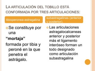 LA ARTICULACIÓN DEL TOBILLO ESTÁ
CONFORMADA POR TRES ARTICULACIONES:
Se constituye por
una
“mortaja”
formada por tibia y
peroné en la que
penetra el
astrágalo.
 Las articulaciones
astragalocalcaneas
anterior y posterior
más el ligamento
interóseo forman un
todo designado
como articulación
subastragalina
tibioperonea-astragalina
subastragalinas (anterior
y posterior).
 