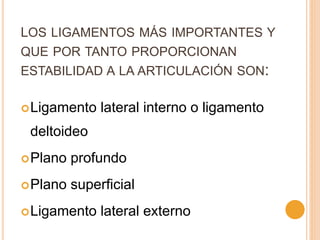 LOS LIGAMENTOS MÁS IMPORTANTES Y
QUE POR TANTO PROPORCIONAN
ESTABILIDAD A LA ARTICULACIÓN SON:
Ligamento lateral interno o ligamento
deltoideo
Plano profundo
Plano superficial
Ligamento lateral externo
 