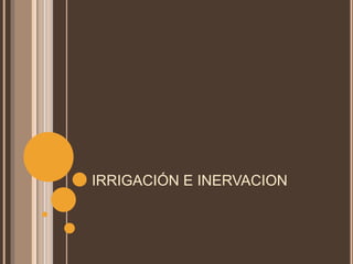 IRRIGACIÓN E INERVACION
 