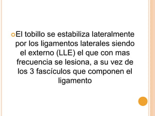 El tobillo se estabiliza lateralmente
por los ligamentos laterales siendo
el externo (LLE) el que con mas
frecuencia se lesiona, a su vez de
los 3 fascículos que componen el
ligamento
 