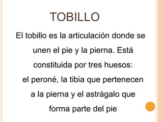 TOBILLO
El tobillo es la articulación donde se
unen el pie y la pierna. Está
constituida por tres huesos:
el peroné, la tibia que pertenecen
a la pierna y el astrágalo que
forma parte del pie
 