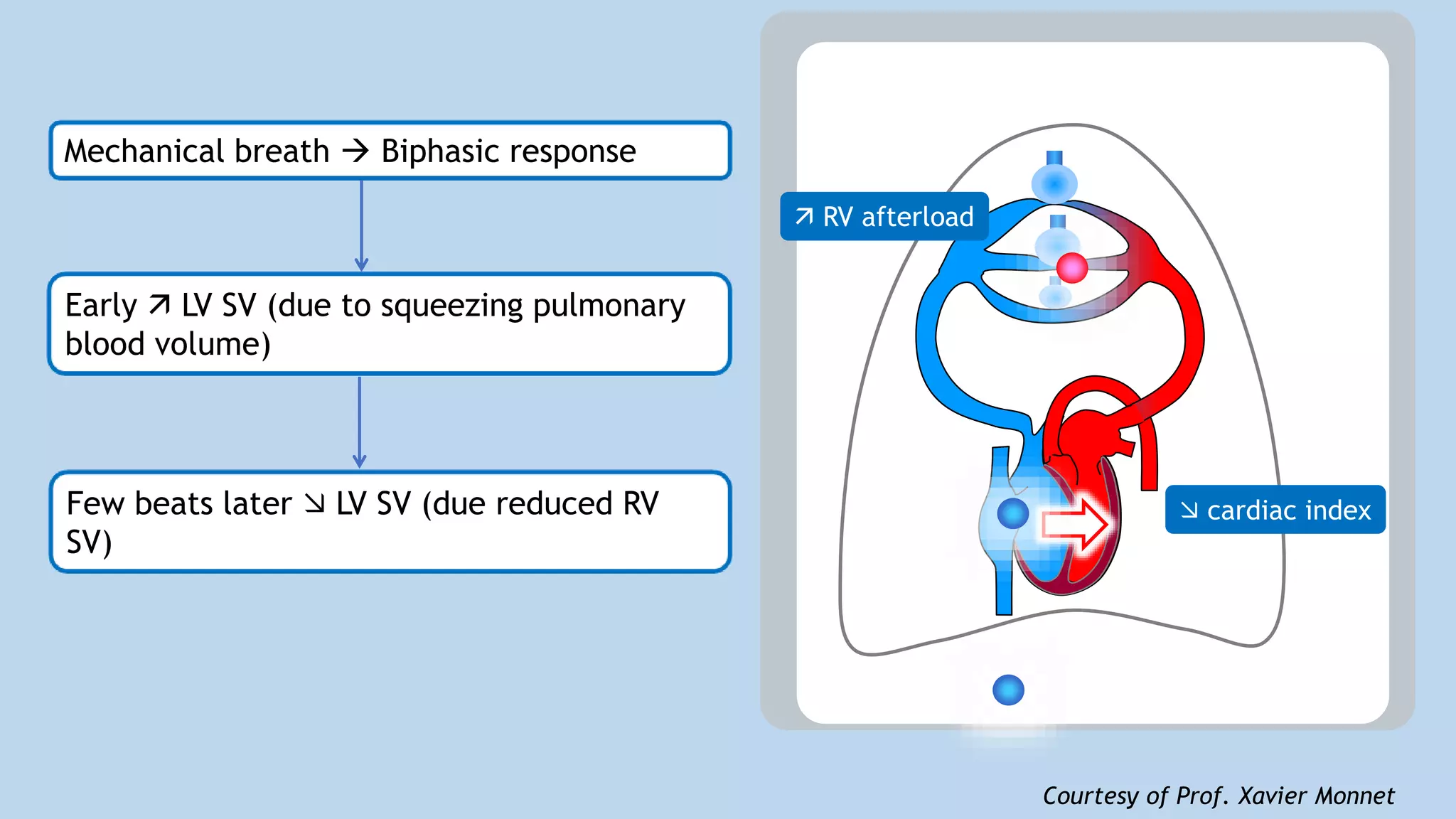 Non-invasive haemodynamic monitoring by Echocardiography | PPTX